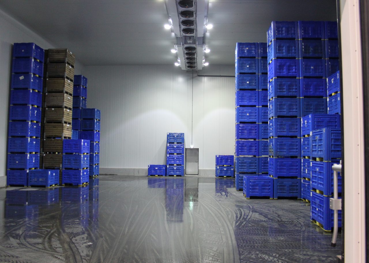 Industrial cold storage warehouse interior with stacked blue food crates and insulated PU panel walls — food-processing freezer room