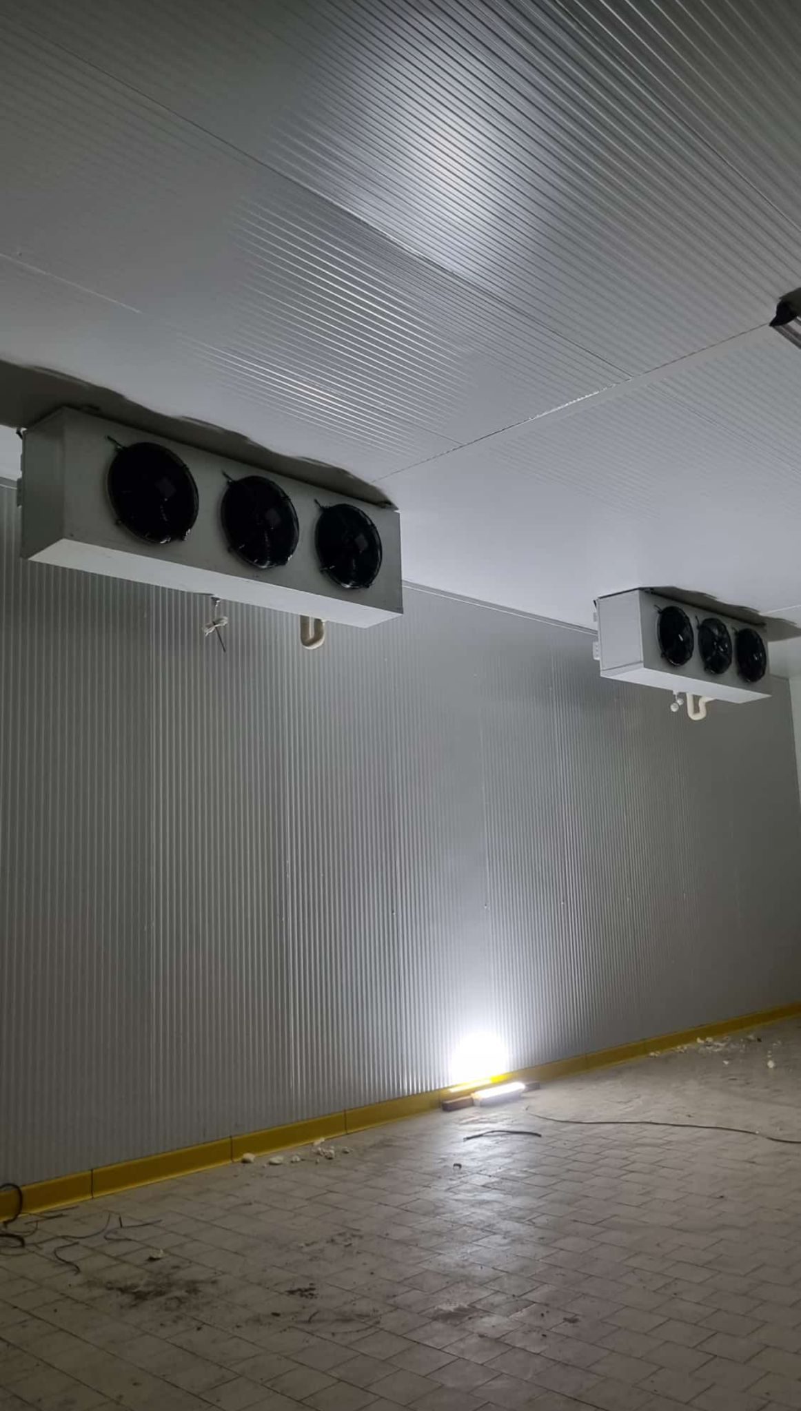 Modular cold-room interior with insulated PU panels, evaporator units, prefab flat-pack assembly — typical camlock export configuration