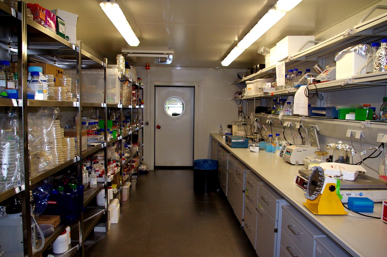 Pharmaceutical / research cold room interior with reagent shelves, stainless storage racks, lab workbench — pharma cold-chain storage