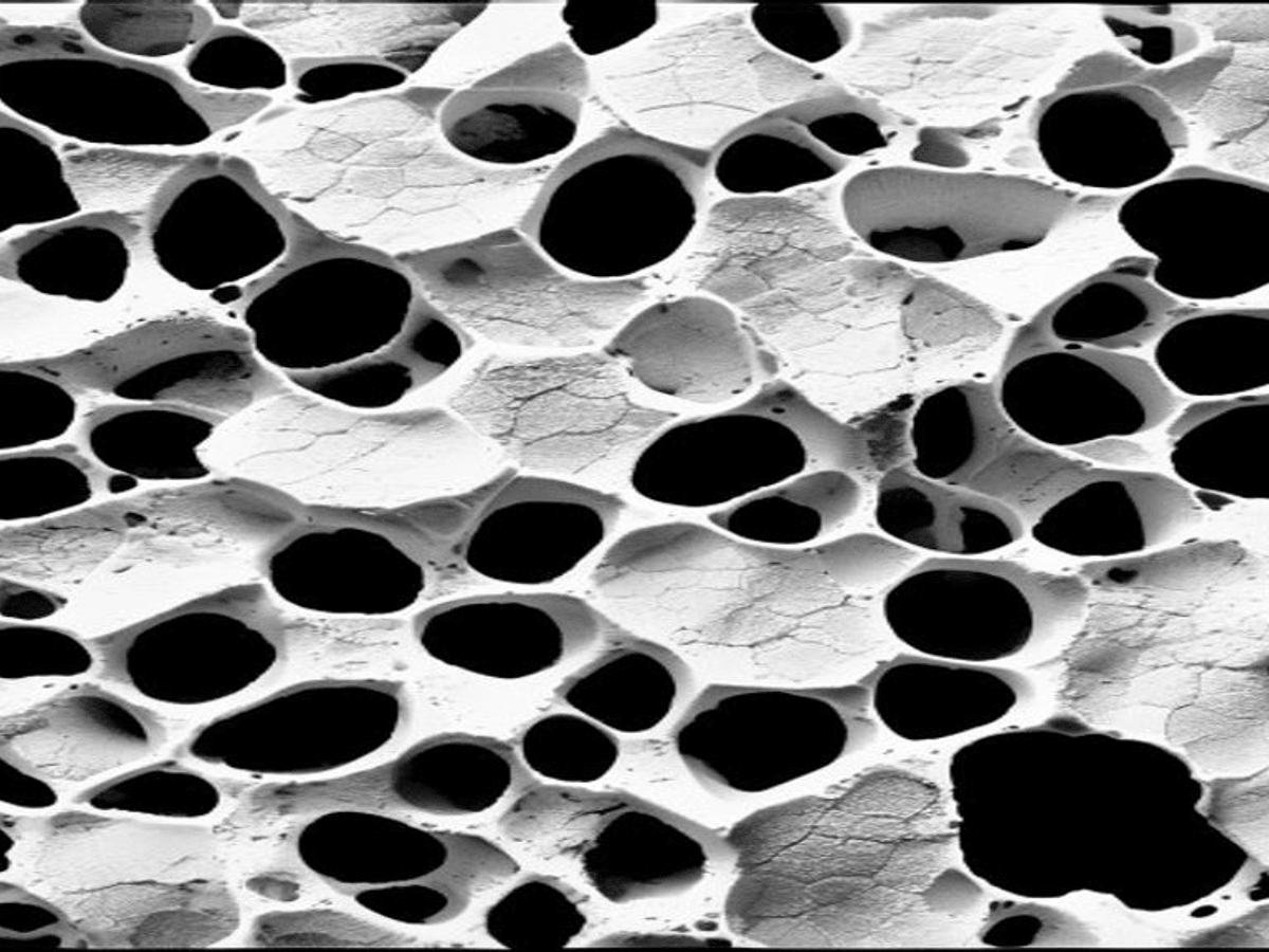 SEM micrograph of coarse PU foam — large irregular open cells, low closed-cell ratio
